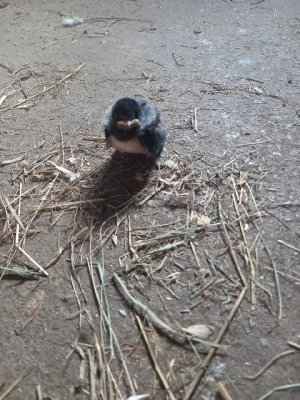 20240731_084437_resize_65.jpg 20240731_084437_resize_65.jpg