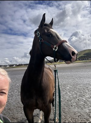 IMG_2391.jpeg IMG_2391.jpeg