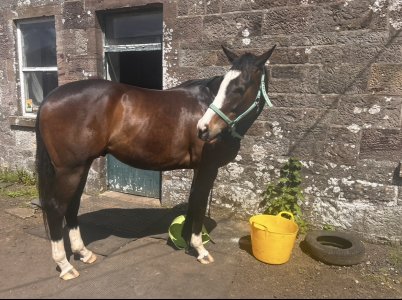 IMG_2392.jpeg IMG_2392.jpeg