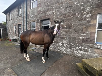 IMG_2395.jpeg IMG_2395.jpeg