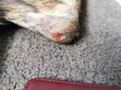 IMG_20240809_095212~01.jpg IMG_20240809_095212~01.jpg