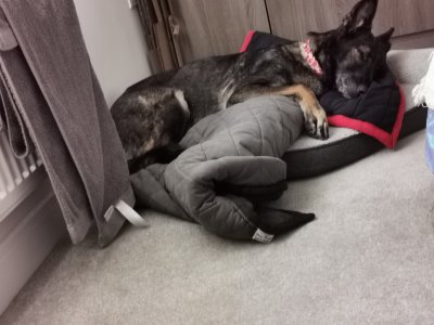 IMG_20240810_070506~01.jpg IMG_20240810_070506~01.jpg