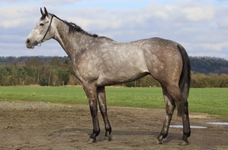 2DE89E63-F4DD-4708-849B-E7DD91734537.jpeg 2DE89E63-F4DD-4708-849B-E7DD91734537.jpeg