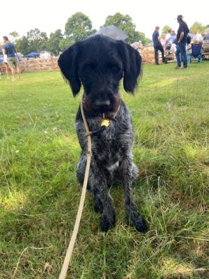 8089CE49-E5FF-4669-8B3B-BEA1B9BA6165.jpeg 8089CE49-E5FF-4669-8B3B-BEA1B9BA6165.jpeg