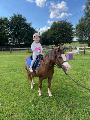 IMG_6985.jpeg IMG_6985.jpeg