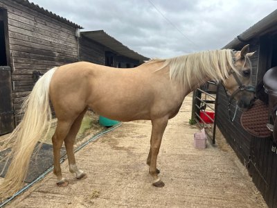 IMG_0654.jpeg IMG_0654.jpeg