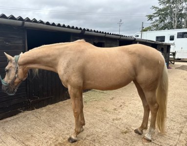 IMG_0620.jpeg IMG_0620.jpeg