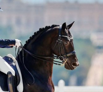 IMG_1275.jpeg IMG_1275.jpeg