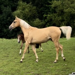 IMG_4595.jpeg IMG_4595.jpeg