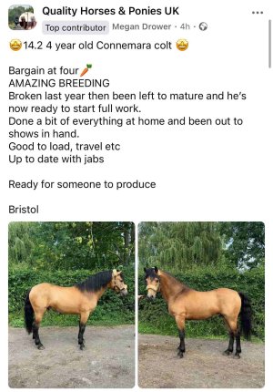 IMG_6918.jpeg IMG_6918.jpeg