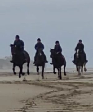 IMG_5205.jpg IMG_5205.jpg