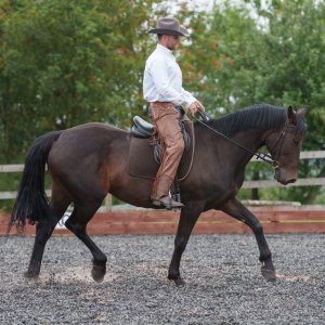 454011194_962836502522486_2362056603832774543_n.jpg 454011194_962836502522486_2362056603832774543_n.jpg