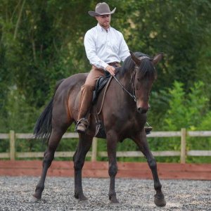 454236263_962836515855818_6120666153383541982_n.jpg 454236263_962836515855818_6120666153383541982_n.jpg