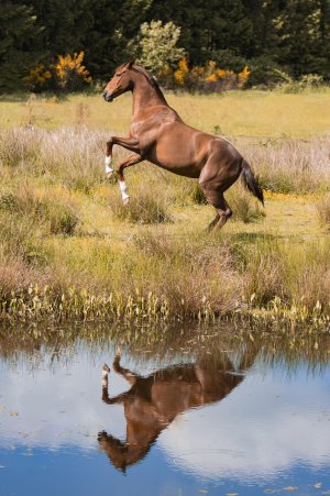 welcome 7.jpg welcome 7.jpg