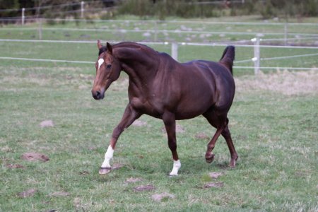 welcome 1.jpg welcome 1.jpg