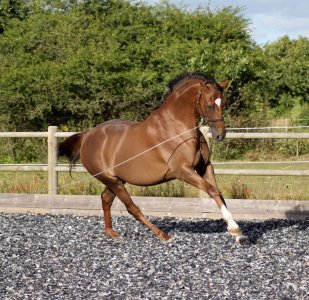 welcome 5.jpg welcome 5.jpg