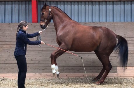 welcome 6.jpg welcome 6.jpg