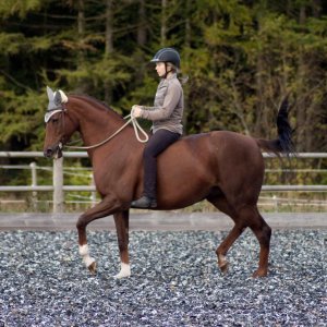 welcome 3.jpg welcome 3.jpg