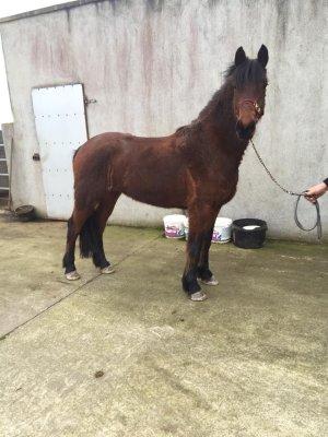 383788993_7185925701437095_2195613720235299841_n.jpg 383788993_7185925701437095_2195613720235299841_n.jpg