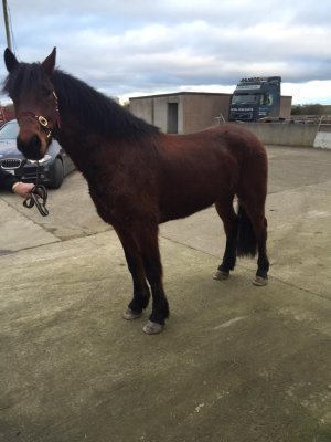 381637164_7185925658103766_6487153409172767854_n.jpg 381637164_7185925658103766_6487153409172767854_n.jpg