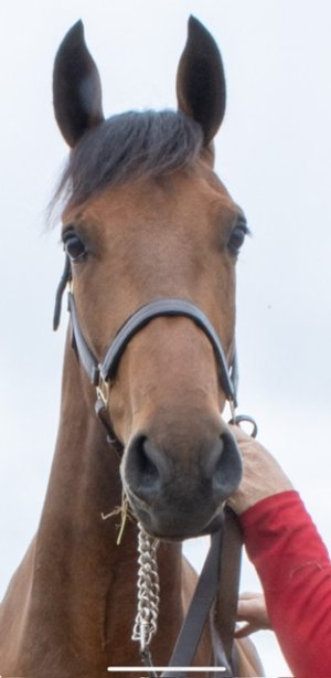 IMG_1837.jpeg IMG_1837.jpeg