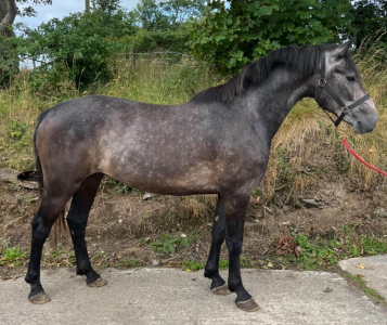 1724437242755.png 1724437242755.png