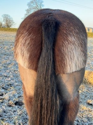 A ted bum.jpg