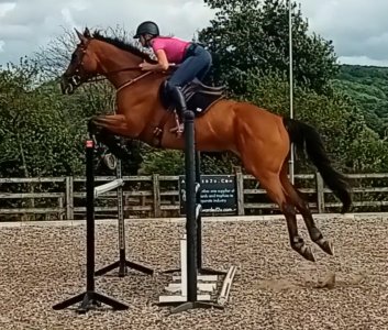 Screenshot_20240822_165439_Video Player.jpg