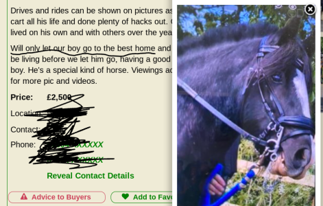 Screenshot 2024-08-29 7.42.58 PM.png Screenshot 2024-08-29 7.42.58 PM.png