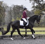 56374C48-5D03-45AD-862E-E780A107306C.jpeg 56374C48-5D03-45AD-862E-E780A107306C.jpeg