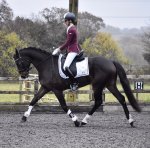 F8712571-64DF-4378-9B9D-D2CE4FDECF33.jpeg F8712571-64DF-4378-9B9D-D2CE4FDECF33.jpeg