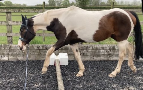 IMG_0891.jpeg IMG_0891.jpeg