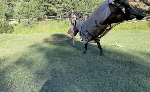 IMG_2028.jpeg IMG_2028.jpeg