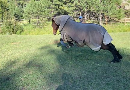 IMG_2030.jpeg IMG_2030.jpeg