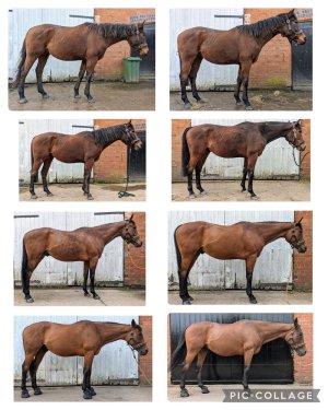 WhatsApp Image 2024-09-02 at 11.44.17.jpeg WhatsApp Image 2024-09-02 at 11.44.17.jpeg