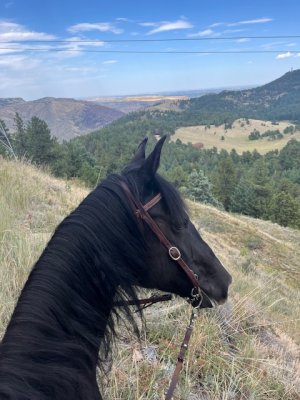 IMG_2068.jpeg IMG_2068.jpeg