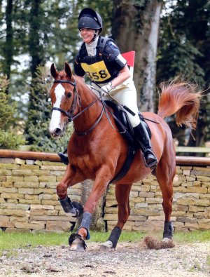 10495984_10202608313473032_2055480231453380431_o.jpg 10495984_10202608313473032_2055480231453380431_o.jpg