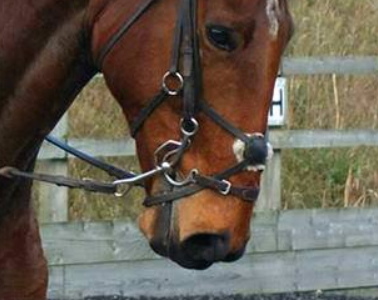 1725388254925.png 1725388254925.png