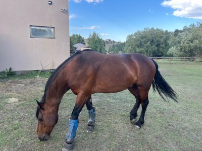 IMG_2081.jpeg IMG_2081.jpeg