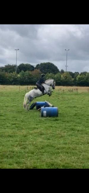 WhatsApp Image 2024-09-04 at 13.50.17.jpeg