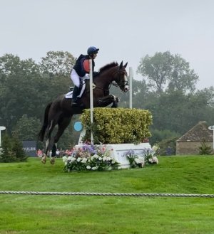 IMG_6965.jpeg IMG_6965.jpeg