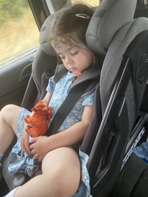 IMG_6963.jpeg IMG_6963.jpeg