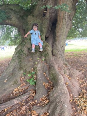 IMG_6970.jpeg IMG_6970.jpeg