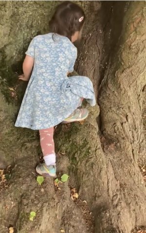 IMG_6976.jpeg IMG_6976.jpeg