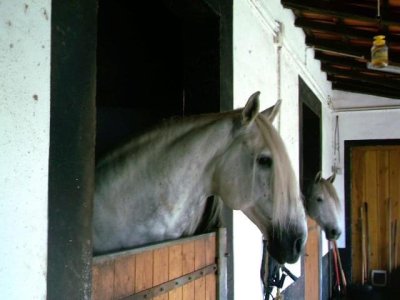 IMG_2188.jpeg IMG_2188.jpeg