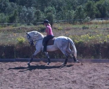 IMG_2190.jpeg IMG_2190.jpeg