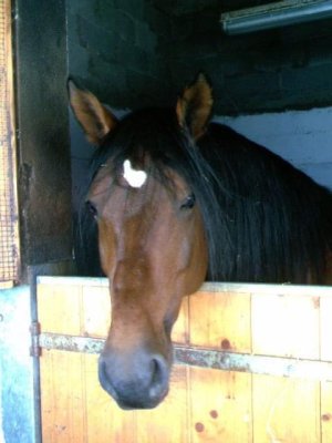 IMG_2189.jpeg IMG_2189.jpeg