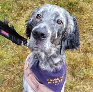 Screenshot_20240908_110521_Gallery.jpg Screenshot_20240908_110521_Gallery.jpg