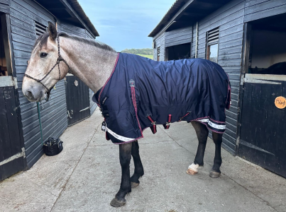 1725791345025.png 1725791345025.png