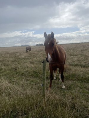 Aspen Front 2024 small.jpg Aspen Front 2024 small.jpg